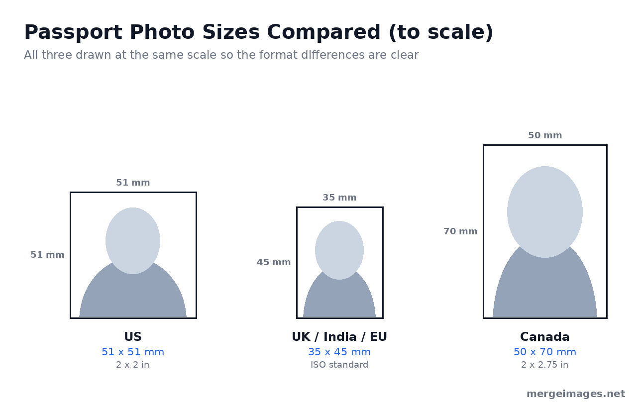 Passport photo sizes compared to scale, US 51 by 51 mm 2 by 2 inch, UK India and Schengen 35 by 45 mm, Canada 50 by 70 mm