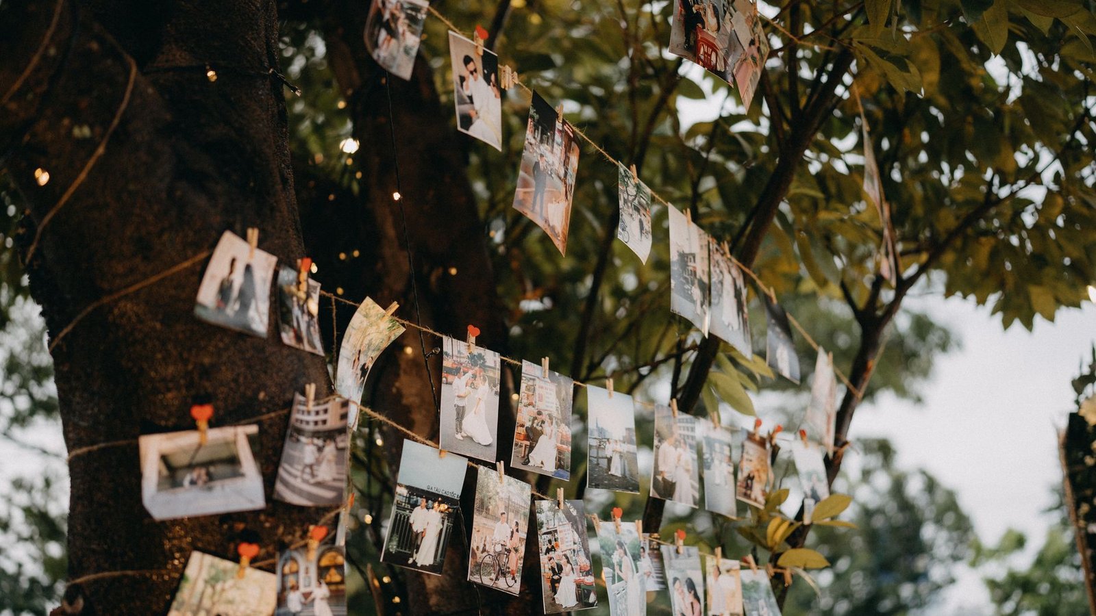 Real photo: wedding photo selection, illustrating this section