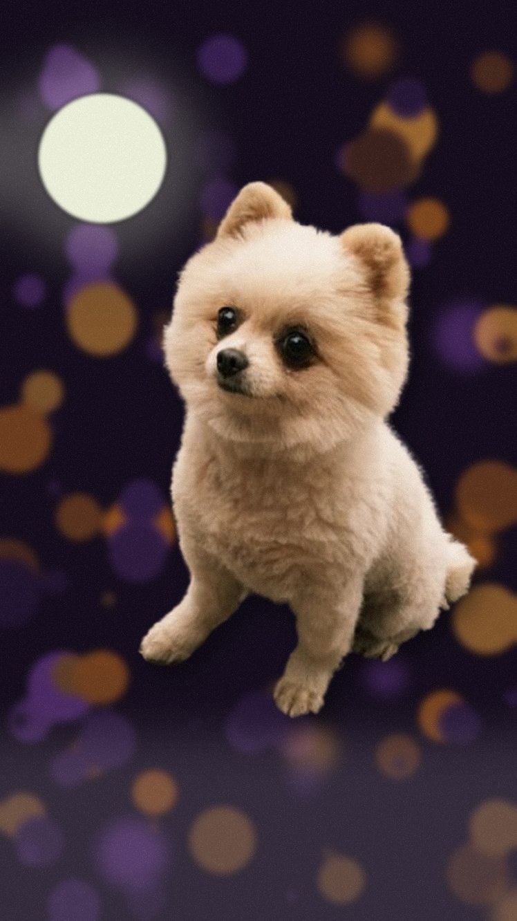 Halloween background